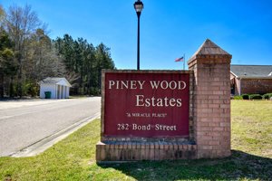 Piney-Woods 01a